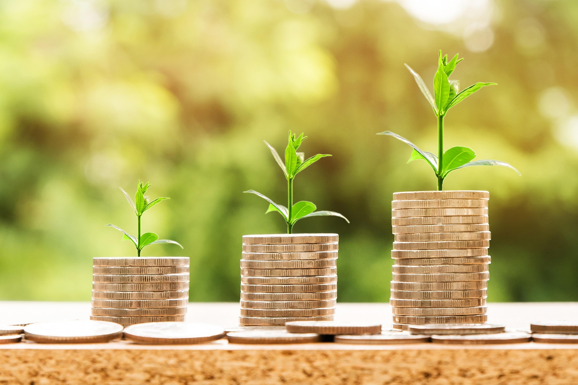 Investment land